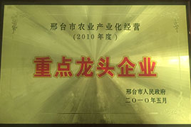 榮譽(yù)資質(zhì)