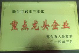 榮譽(yù)資質(zhì)