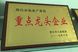 榮譽(yù)資質(zhì)