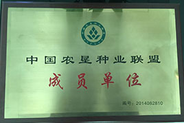 榮譽(yù)資質(zhì)