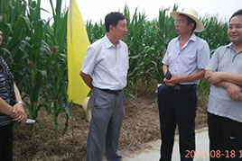 農(nóng)業(yè)部種子管理局張延秋局長調(diào)研