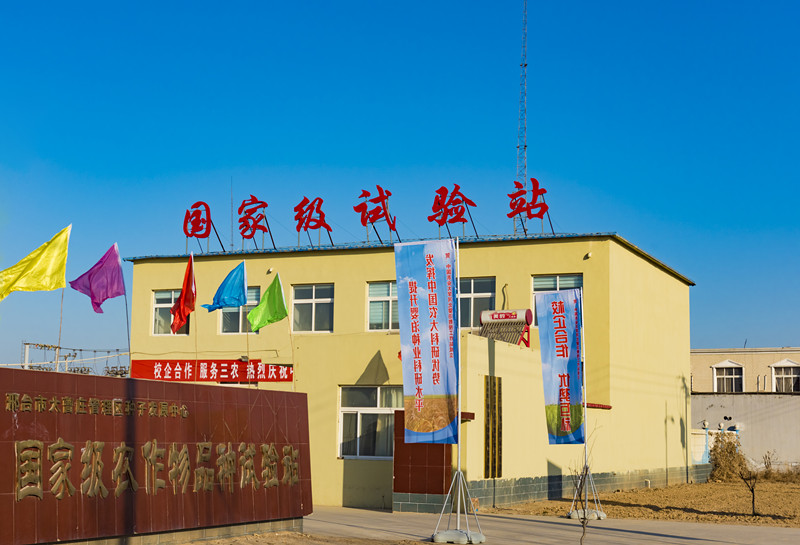 熱烈祝賀中國農(nóng)大教授工作站落戶河北嬰泊種業(yè)~